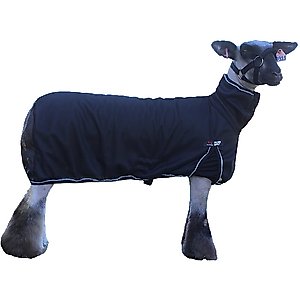 Sullivan Supply Cool Tech Sheep Blanket, Black, Small