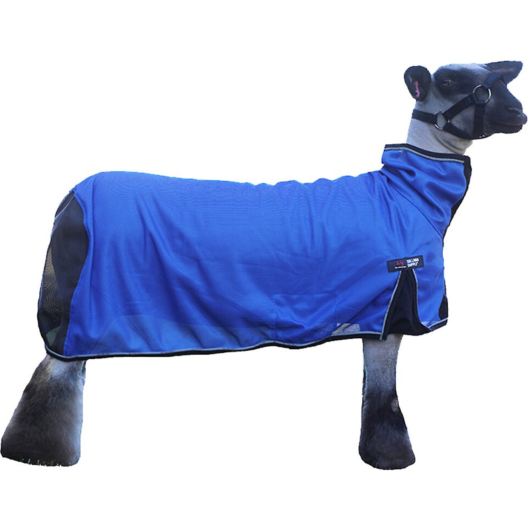 Sullivan Supply Cool Tech Sheep Blanket, Blue, Small