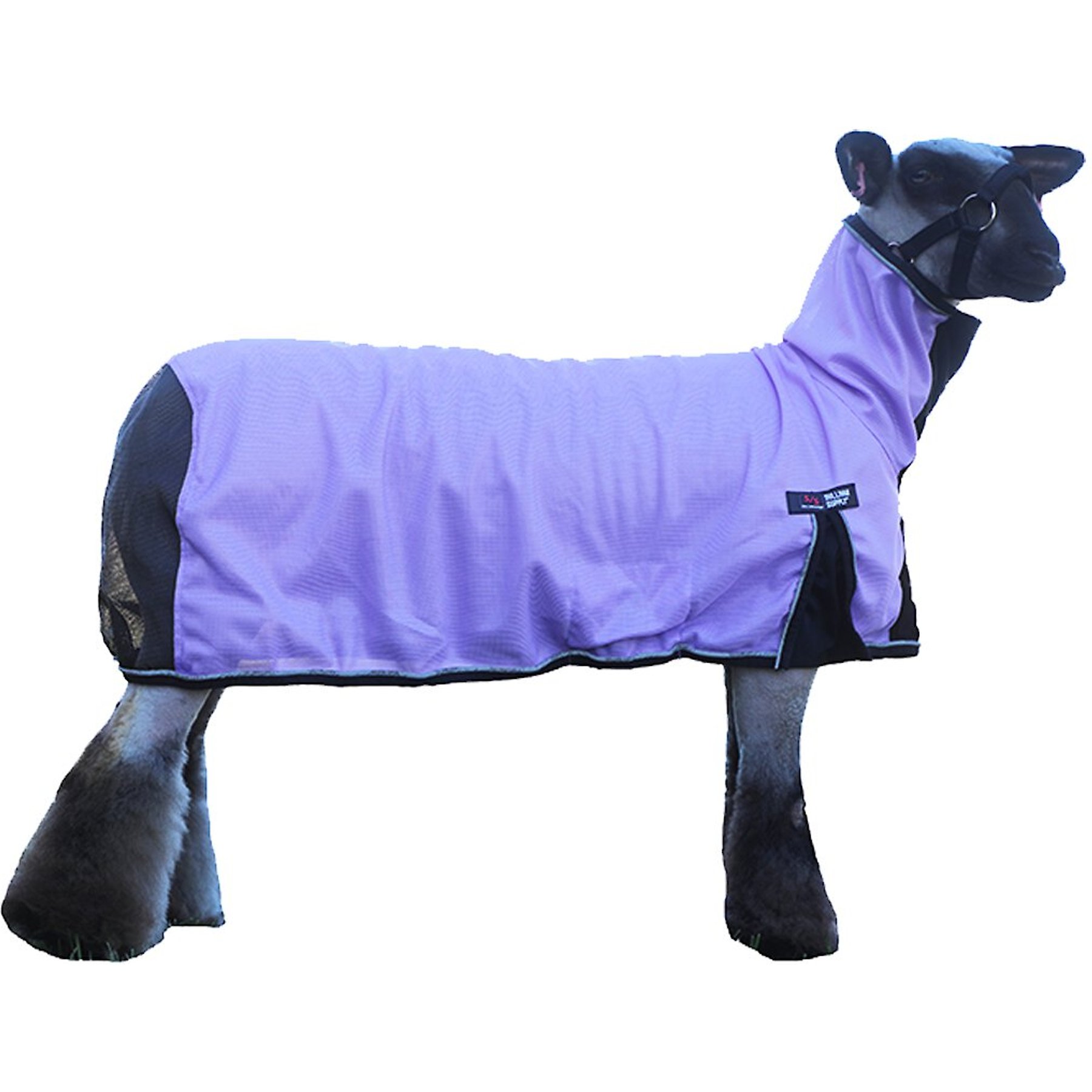 Sullivan Supply Cool Tech Sheep Blanket, Purple, Small
