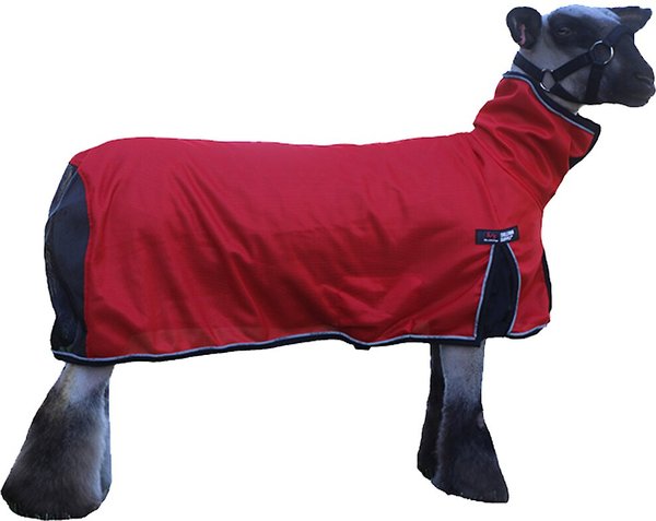 Show full view: Sullivan Supply Cool Tech Sheep Blanket, Red, Medium slide 1 of 1