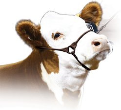 Sullivan Supply Incognito Show Farm Animal Halter, Brown, Medium