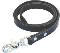 Sullivan Supply Leather Nose Lead Strap, Black