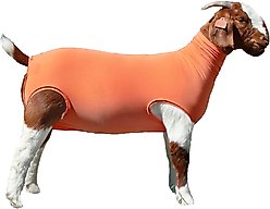 Sullivan Supply Performance Cotton Goat Tubes, Orange, Large