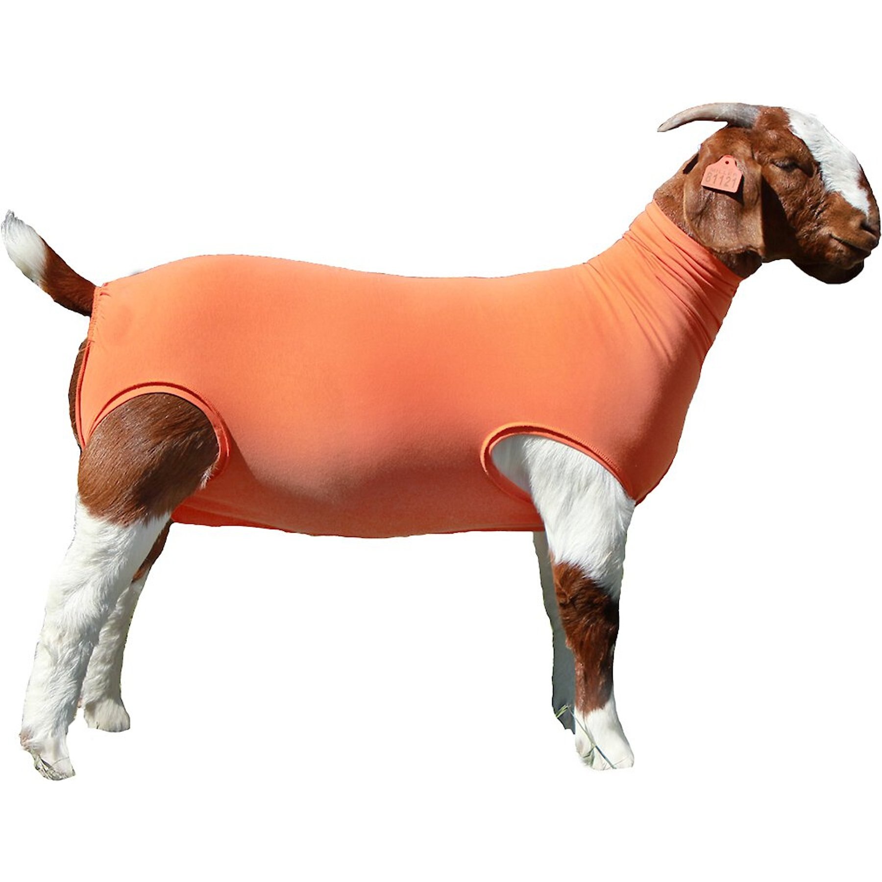 Sullivan Supply Performance Cotton Goat Tubes, Orange, Small