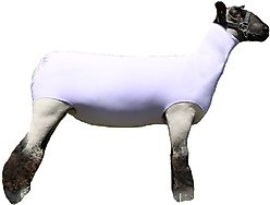 Sullivan Supply Performance Cotton Lamb Tube, Lavender, Large