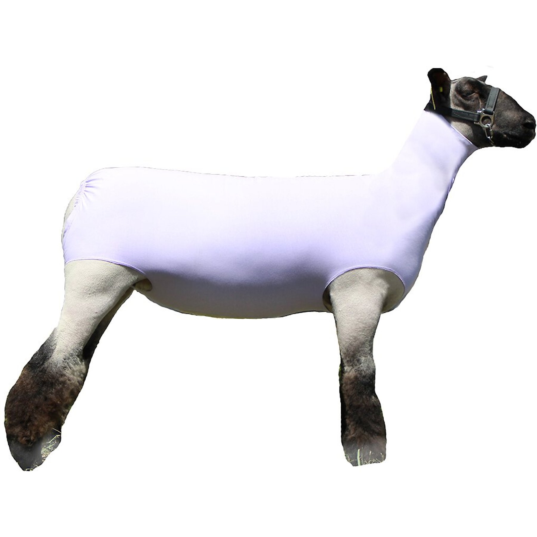 Sullivan Supply Performance Cotton Lamb Tube, Lavender, Small