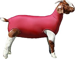 Sullivan Supply Performance Spandex Goat Tubes, Burgandy, X-Large