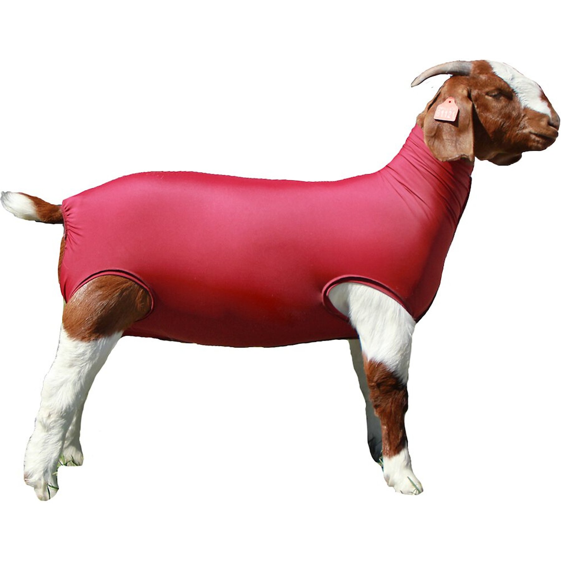 Sullivan Supply Performance Spandex Goat Tubes, Burgandy, X-Large