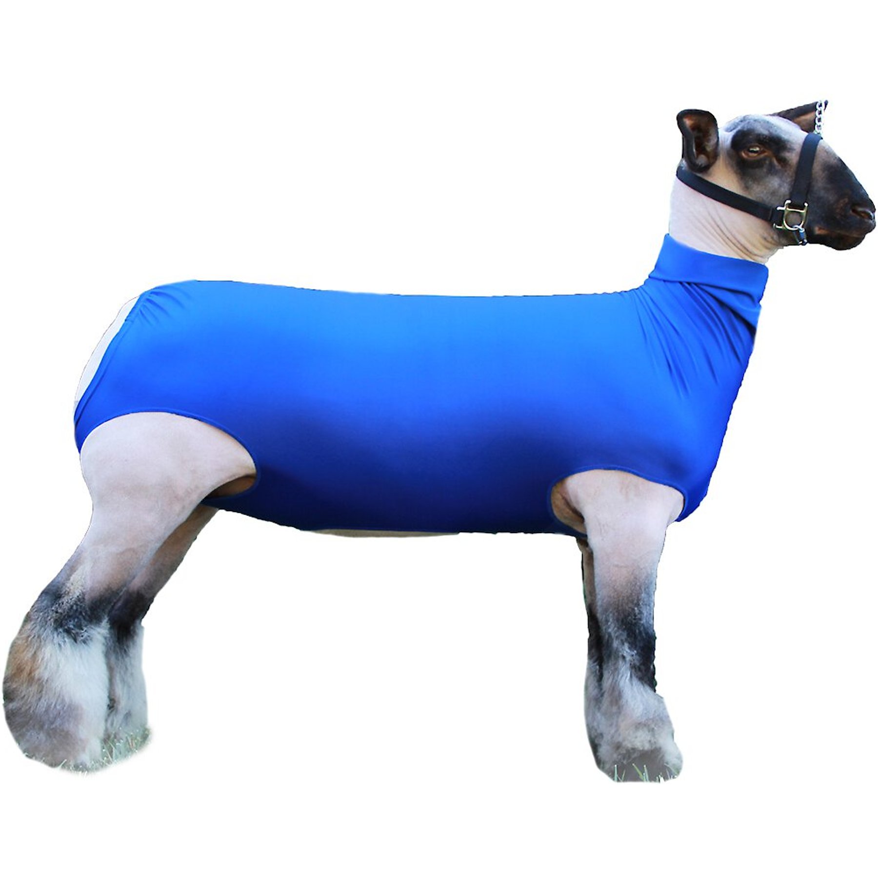 Sullivan Supply Performance Spandex Lamb Tube, Blue, Large