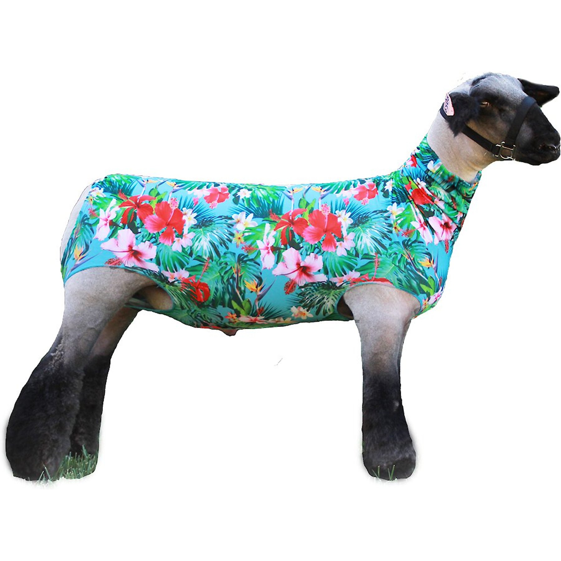 Sullivan Supply Performance Spandex Lamb Tube, Tropical, Small