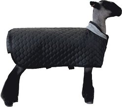 Sullivan Supply Thermal Sheep Blanket, Regular