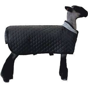 Sullivan Supply Thermal Sheep Blanket, Regular