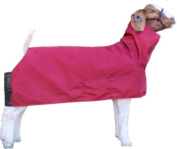 Show full view: Sullivan Supply Tough Tech Goat Blanket, Burgandy, Large slide 1 of 1