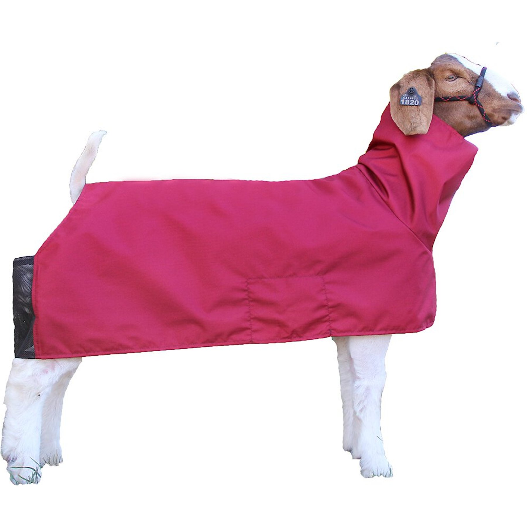 Sullivan Supply Tough Tech Goat Blanket, Burgandy, Medium