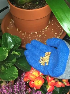 Show full view: Summit Mosquito Bits Larvae Control Granules, 30-oz pack slide 2 of 7