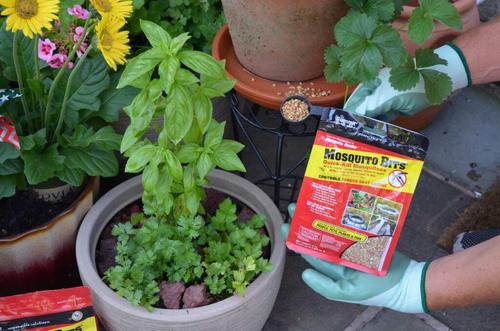 Show full view: Summit Mosquito Bits Larvae Control Granules, 8-oz pack slide 3 of 4