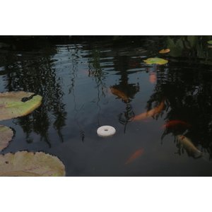 Summit Mosquito Dunks Larvae Control Tablets, 2 count
