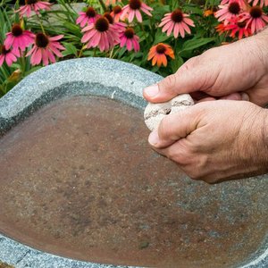 Summit Mosquito Dunks Larvae Control Tablets, 2 count