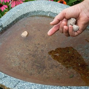 Summit Mosquito Dunks Larvae Control Tablets, 2 count