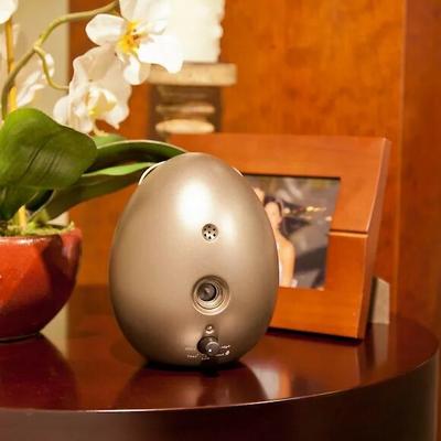 Show full view: Sunbeam Sonic Egg Ultrasonic Bark Control Device slide 7 of 11