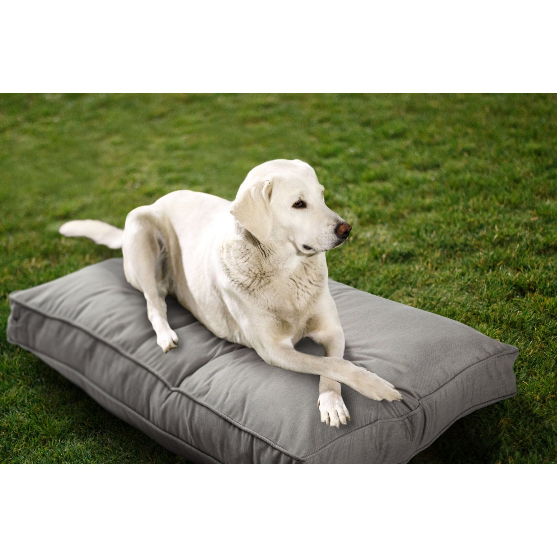 Sherry Kline Pet Collection Mattress Sunbrella Indoor/Outdoor Dog Bed, Dove Grey, 30 x 40 x 4-in