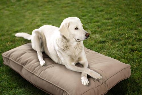 Show full view: Sherry Kline Pet Collection Mattress Sunbrella Indoor/Outdoor Dog Bed, Sand, 30 x 40 x 4-in slide 1 of 3