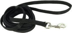 Sunburst Nylon Dog Leash, Black, 6-ft long, 3/8-in wide