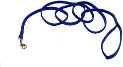 Sunburst Nylon Dog Leash, Blue, 6-ft long, 3/8-in wide