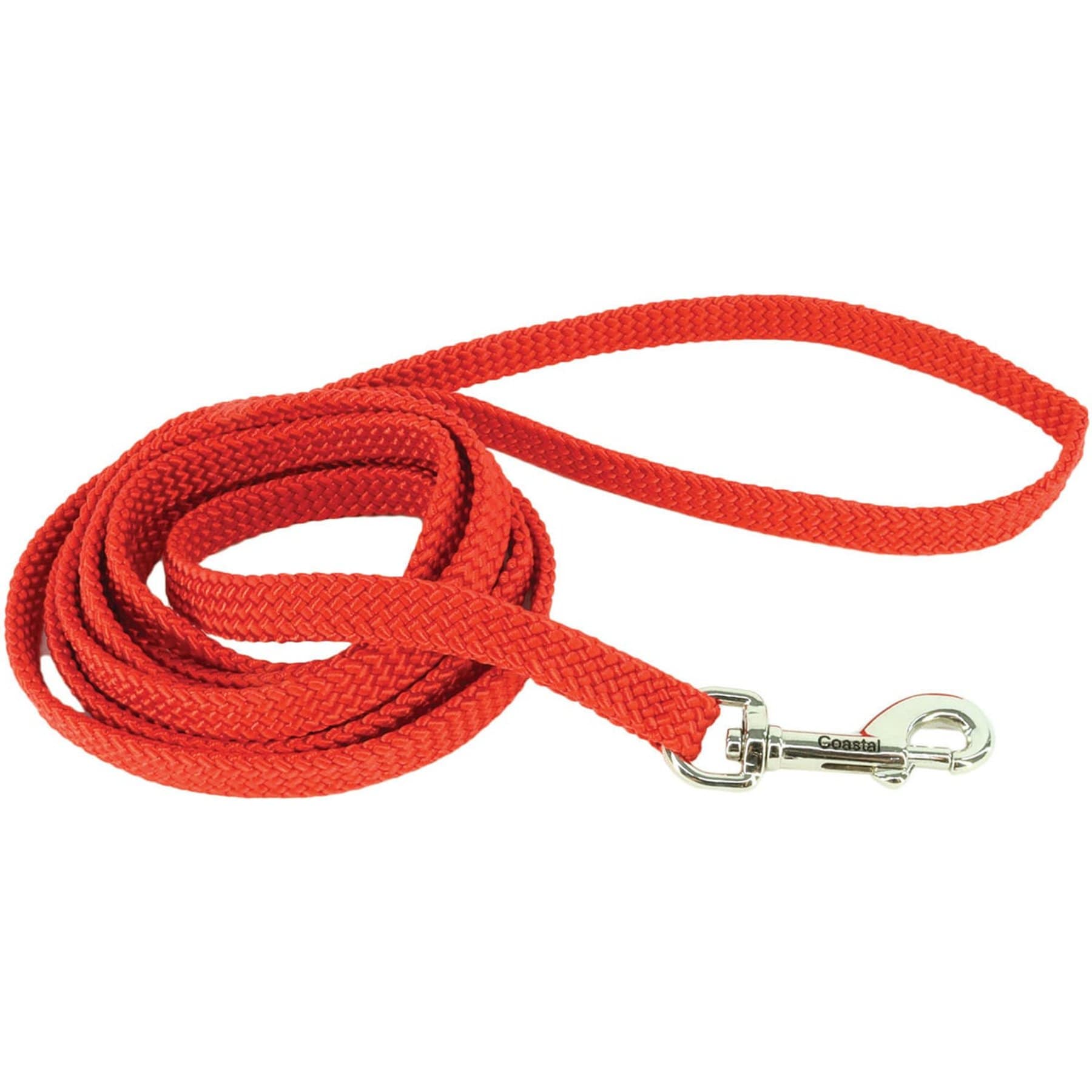 Sunburst Nylon Dog Leash, Red, 6-ft long, 3/8-in wide