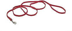 Sunburst Nylon Dog Leash, Red, 6-ft long, 3/8-in wide