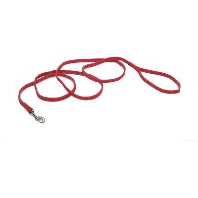 Sunburst Sunburst Nylon Dog Leash, Red, 6-ft long, 3/8-in wide