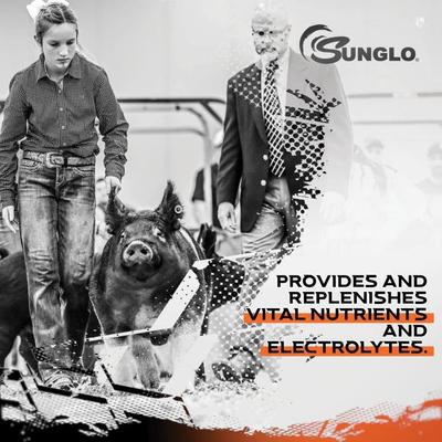 Show full view: Sunglo 4Sure Show Animal Nutritional Swine, Cattle, Sheep & Goat Supplement, 3-lb pail slide 4 of 9