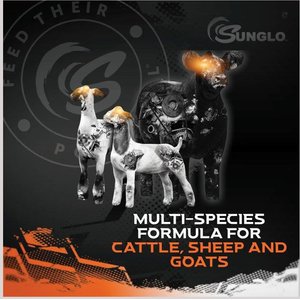 Sunglo Epic I.C.E. Hair & Wool Show Cattle, Sheep & Goat Supplement, 25-lb bucket