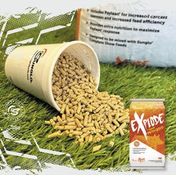 Sunglo Explode Show Animal Swine Supplement, 25-lb bag slide 2 of 5