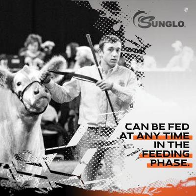 Show full view: Sunglo Full Tank Pelleted Show Animal Cattle, Sheep, & Goat Supplement, 50-lb bag slide 6 of 10