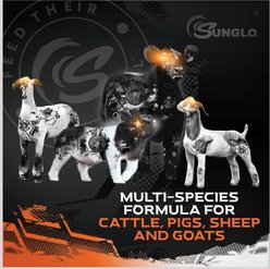 Sunglo Game On Show Animal Swine, Cattle, Lambs & Goat Supplement, 8-lb pail slide 2 of 8