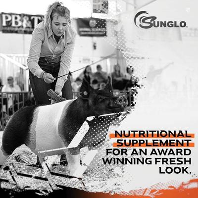 Show full view: Sunglo Game On Show Animal Swine, Cattle, Lambs & Goat Supplement, 8-lb pail slide 5 of 8