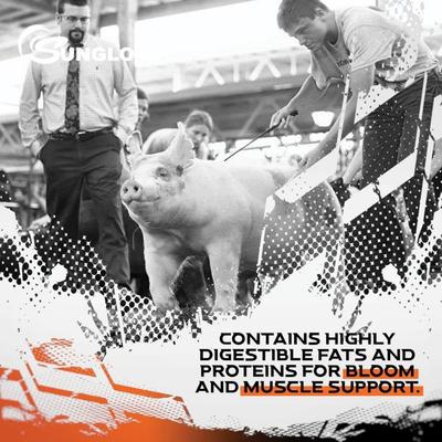 Show full view: Sunglo Game On Show Animal Swine, Cattle, Lambs & Goat Supplement, 8-lb pail slide 7 of 8