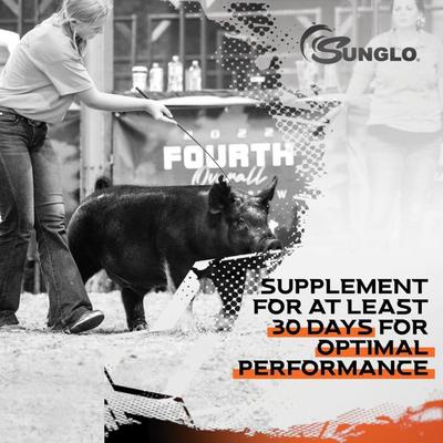 Show full view: Sunglo In Motion Show Animal Joint, Hoof, & Skin Health Farm Animal Supplement, 14-lb pail slide 6 of 9