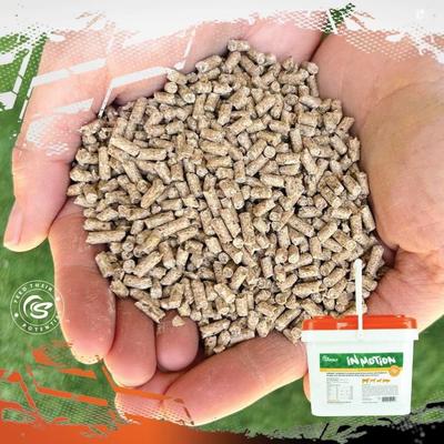 Show full view: Sunglo In Motion Show Animal Joint, Hoof, & Skin Health Farm Animal Supplement, 14-lb pail slide 7 of 9