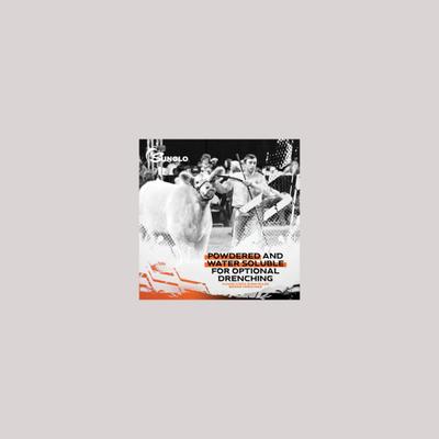 Show full view: Sunglo Man Up Show Animal Cattle Supplement, 30-lb bucket slide 6 of 10