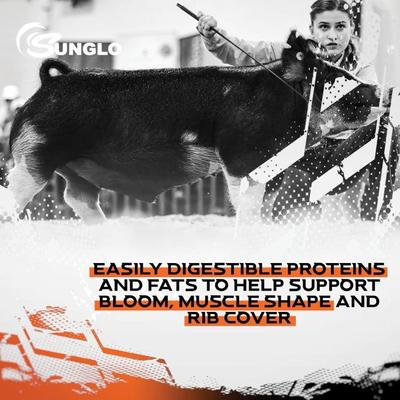 Show full view: Sunglo Milk It! Non-Medicated Milk Replacer Show Pig Supplement, 25-lb bag slide 6 of 9