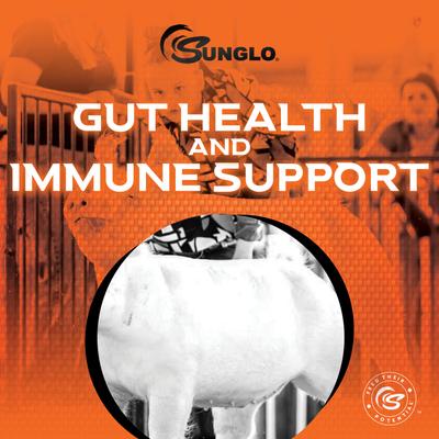 Show full view: Sunglo Stuffed Show Supplement for Pigs, 40-lb bag slide 4 of 10