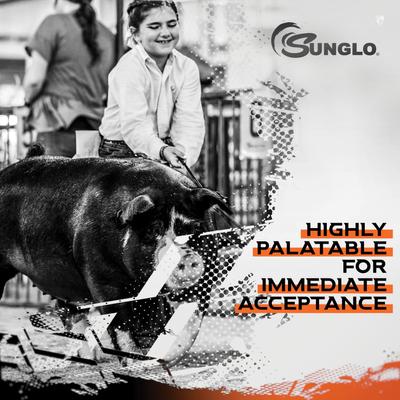 Show full view: Sunglo Stuffed Show Supplement for Pigs, 40-lb bag slide 5 of 10