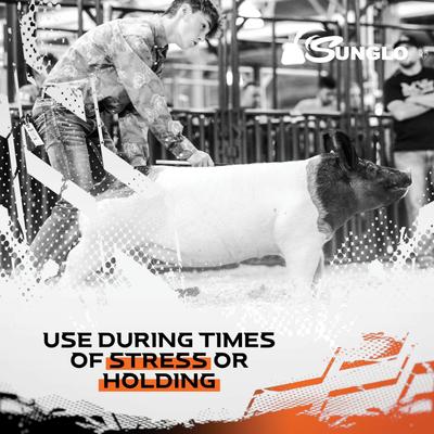 Show full view: Sunglo Stuffed Show Supplement for Pigs, 40-lb bag slide 7 of 10