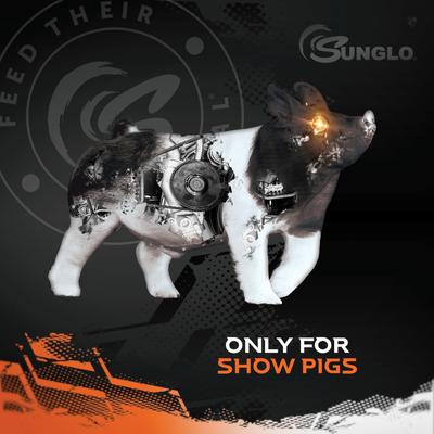 Show full view: Sunglo Stuffed Show Supplement for Pigs, 40-lb bag slide 3 of 10