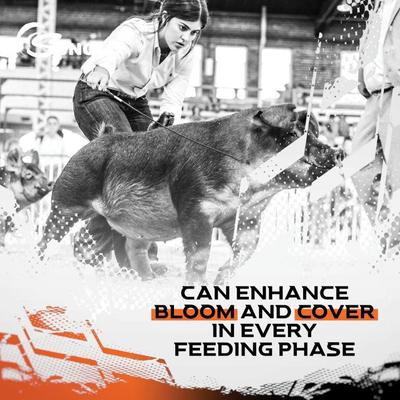 Show full view: Sunglo Sumo Show Pig Supplement, 25-lb bag slide 6 of 9