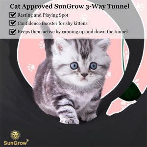 SunGrow Collapsible Entertainment Cat & Rabbit Tunnel Bed, Interactive Stimulation Toy for Indoor Cats, Turquoise & Black
