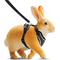 Show in main carousel: Vila Adjustable Escape Proof Outdoor Walking Cat, Rabbit & Ferret Harness, Black, Small slide 2 of 4