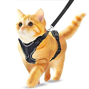 Kitty Holster Cat Harness